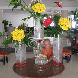 ���� �������, �����, 62 ���� - ��������� 22 �������� 2015