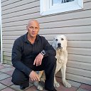 ���� �����, �����-���������, 60 ��� - ��������� 31 ��� 2015 � ������ ���