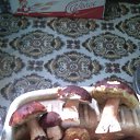 ���� �������, ������ - ��������� 22 ������� 2015 � ������ ���� ����������