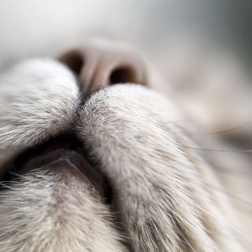 ��� ���� � ����� �� �� - 5 ���� 2015 � 00:30 - 6