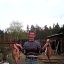  , -, 41  -  31  2015