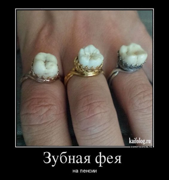 ����� - 13 ���� 2015 � 16:19
