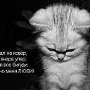 ���� ���������, ���������, 43 ���� - ��������� 30 ���� 2015 � ������ ���� ����������