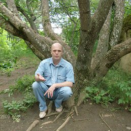 �������, ���������, 55 ���