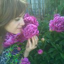 ���� �������, ������, 59 ��� - ��������� 12 ���� 2015 � ������ ���� ����������