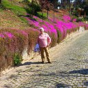 ���� ��������, ���� - ��������� 20 �������� 2015 � ������ ���� ����������