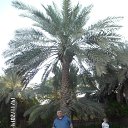 ���� Arshak, ������, 59 ��� - ��������� 16 ���� 2015 � ������ ������ ��������