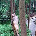 ���� ����, �������, 46 ��� - ��������� 13 ���� 2015 � ������ ������ ��������