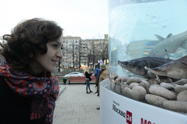 Всем любителям морепродуктов и рыбы посвящается! Специально для вас в центре Москвы проходит