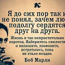 ���� ��������, ����������, 54 ���� - ��������� 2 ���� 2015 � ������ ������ ��������