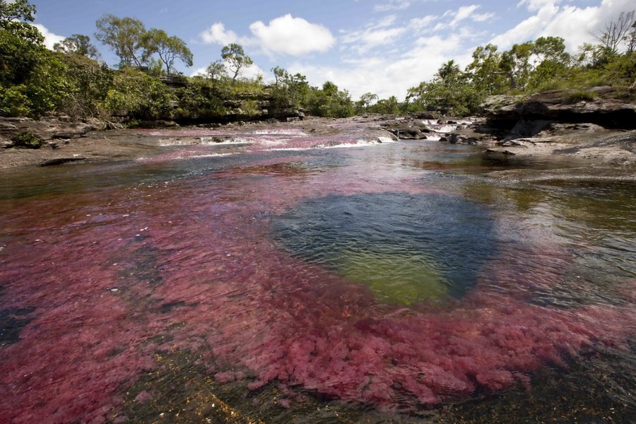   -     .  (Cao Cristales -  ) ... - 4