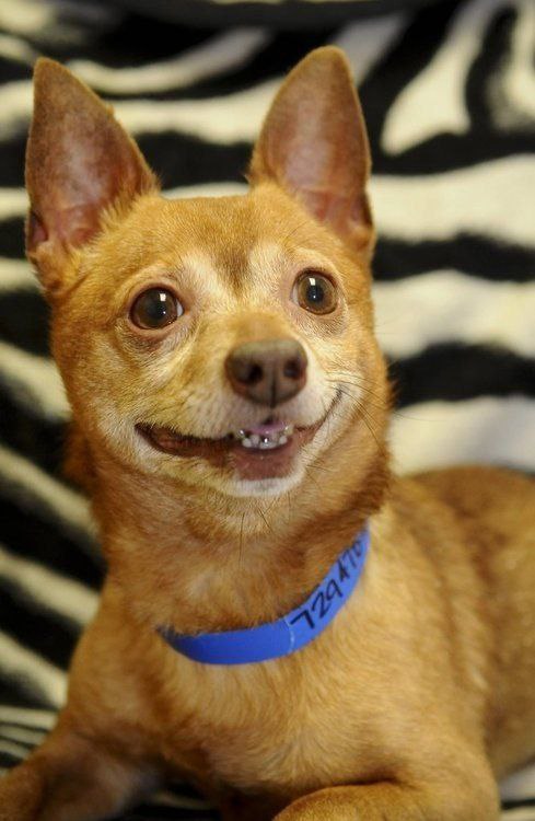  - 18  2015  15:28 - 4