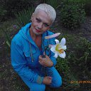 ���� ��������, �����, 54 ���� - ��������� 10 �������� 2015 � ������ ���� ����������