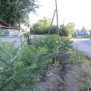 ���� �������, ������� - ��������� 20 ���� 2015 � ������ ���� ����������