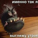 ���� ��������, ������, 44 ���� - ��������� 24 ������ 2015 � ������ ���� ����������