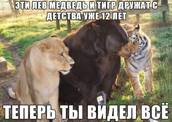 ������� ����� ����� :-) - 6 �������� 2015 � 04:40