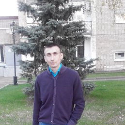 ���������, �������, 40 ���