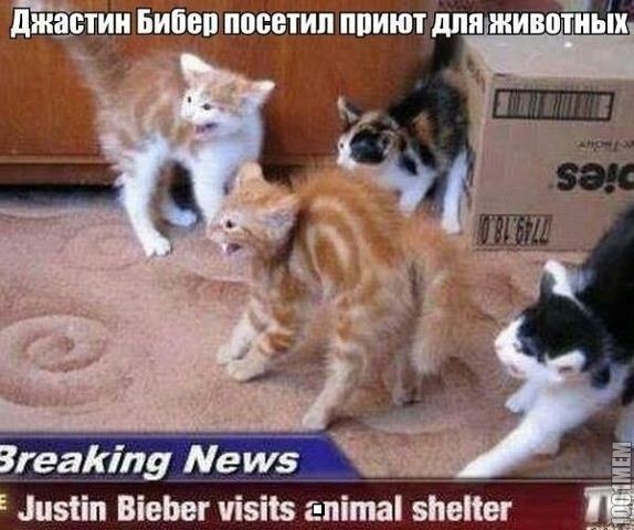 Art & Fun - 1  2015  01:05