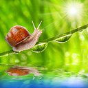 ���� Vikont, �����, 56 ��� - ��������� 20 ���� 2015 � ������ �������