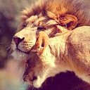 ���� ����������, ����������, 45 ��� - ��������� 26 ������ 2015 � ������ ���� ����������