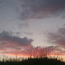 ���� �������, ���������� �����, 58 ��� - ��������� 14 ���� 2015 � ������ ��������