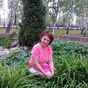 ���� ����, ������ - ��������� 12 ���� 2015 � ������ ���� ����������