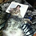 ���� ������, �����������, 46 ��� - ��������� 10 ��� 2015