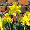  ,  -  16  2015     ...