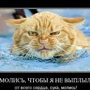 ���� �� ������� ���� ����������