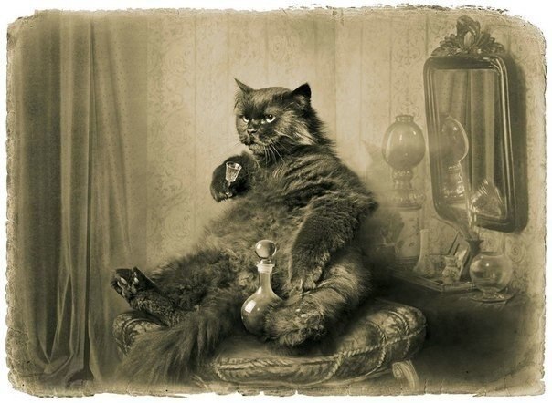   ?    .      .  , ,  ...