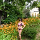  , , 73  -  24  2015    2015.