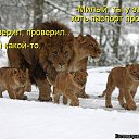 ���� �������, ��������, 63 ���� - ��������� 18 ������� 2015 � ������ ������ ��������