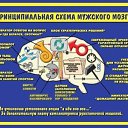 ���� �������, �������� - ��������� 30 ������� 2015 � ������ ���� ����������