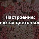 ���� �����, ����, 54 ���� - ��������� 26 ������ 2015 � ������ ������ ��������