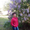 ���� ������, ���� - ��������� 25 ��� 2015 � ������ ���� ����������