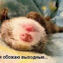 ���� ������, ������������, 45 ��� - ��������� 22 ������ 2015 � ������ �������