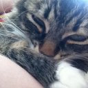 ���� ������, ������ - ��������� 12 ���� 2015 � ������ ���� ����������