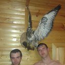 ���� ������, �������, 36 ��� - ��������� 6 ��� 2015 � ������ ���� ����������