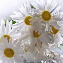 ���� ���k�, ����������, 63 ���� - ��������� 3 ������� 2015 � ������ ����������