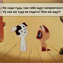 ���� ������, ������, 44 ���� - ��������� 1 ���� 2015 � ������ ������ ��������