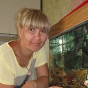 ���� ������, ������� - ��������� 12 ���� 2015