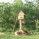 ���� ������, �����, 44 ���� - ��������� 30 ���� 2015 � ������ �2015 �.�