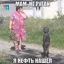 ���� �����, �����, 48 ��� - ��������� 20 ������� 2015 � ������ �11�
