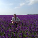  ,  , 59  -  14  2015    