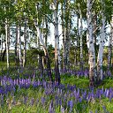 ��� ������� ������ �����....)) �� ������� ���� ���������..))�