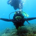 ���� ������, ����������, 49 ��� - ��������� 23 �������� 2015 � ������ ���� ����������