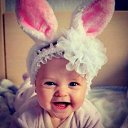 ���� ������� ����, ������ - ��������� 26 ������ 2015 � ������ ���� ����������