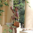 ���� ����, ������ - ��������� 25 ���� 2015 � ������ ������� ���� 2015�