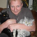 ���� C�����, ������-��-����, 52 ���� - ��������� 5 ��� 2015 � ������ ���� ����������