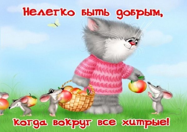 ����� - 9 ���� 2015 � 19:41